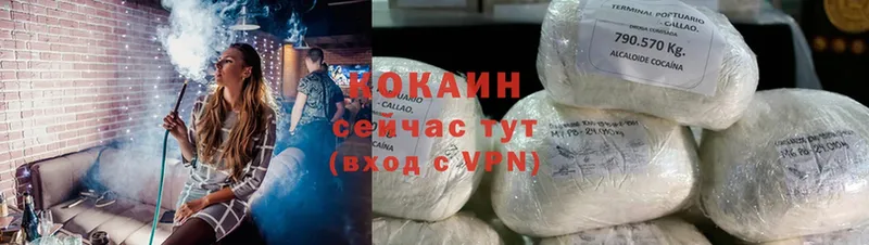 shop клад  Воткинск  Cocaine Fish Scale  магазин продажи наркотиков 