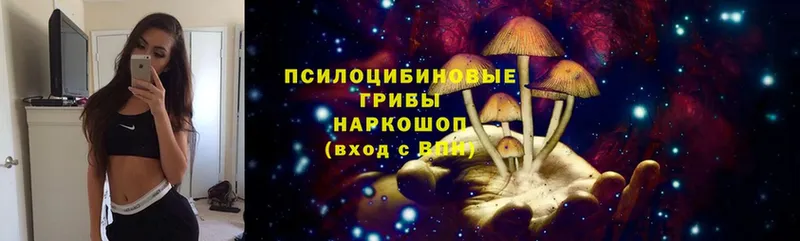 магазин    Воткинск  Псилоцибиновые грибы MAGIC MUSHROOMS 